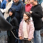 Rodzinna Procesja Różańcowa