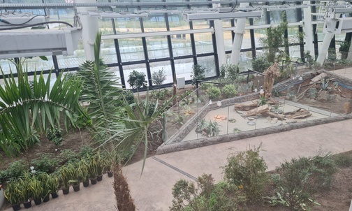 Sosnowiec. W grudniu otwarcie nowoczesnego Egzotarium