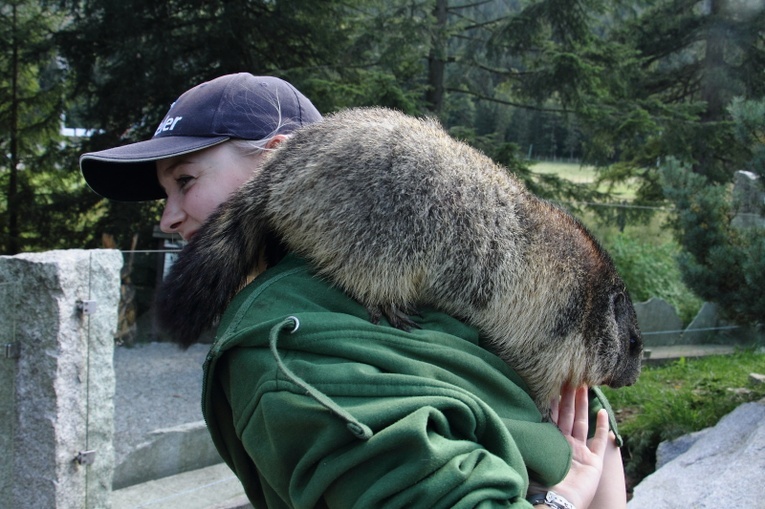 Odwiedziny w Tatrzańskim Parku Edukacyjnym
