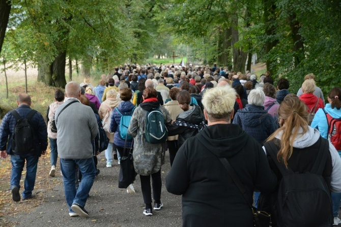 Diecezjalna pielgrzymka wspólnot Żywego Różańca