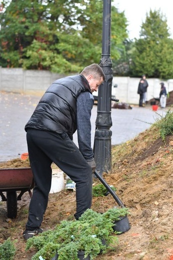 Powrót zieleni na Szmaragdowe Wzgórze