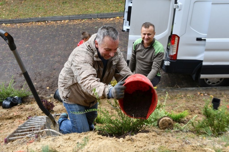 Powrót zieleni na Szmaragdowe Wzgórze