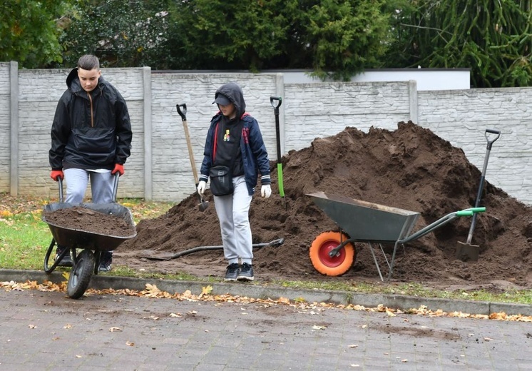 Powrót zieleni na Szmaragdowe Wzgórze