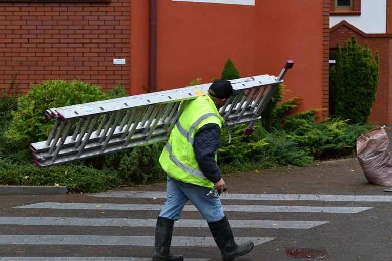 Powrót zieleni na Szmaragdowe Wzgórze