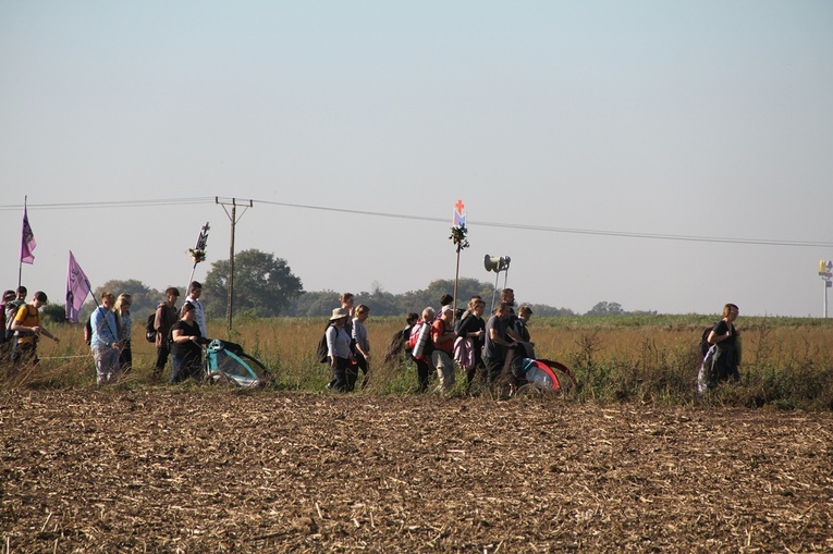 Pielgrzymka do Trzebnicy 2023 - cz. 3