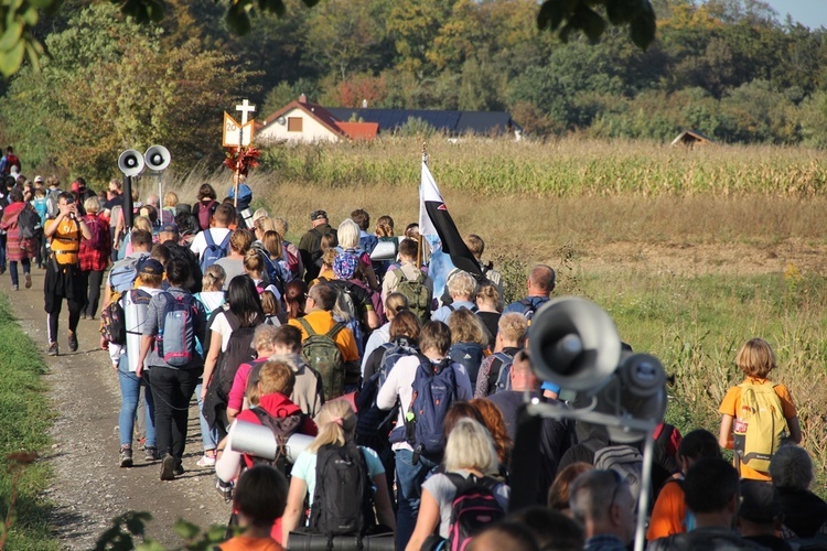 Pielgrzymka do Trzebnicy 2023 - cz. 4