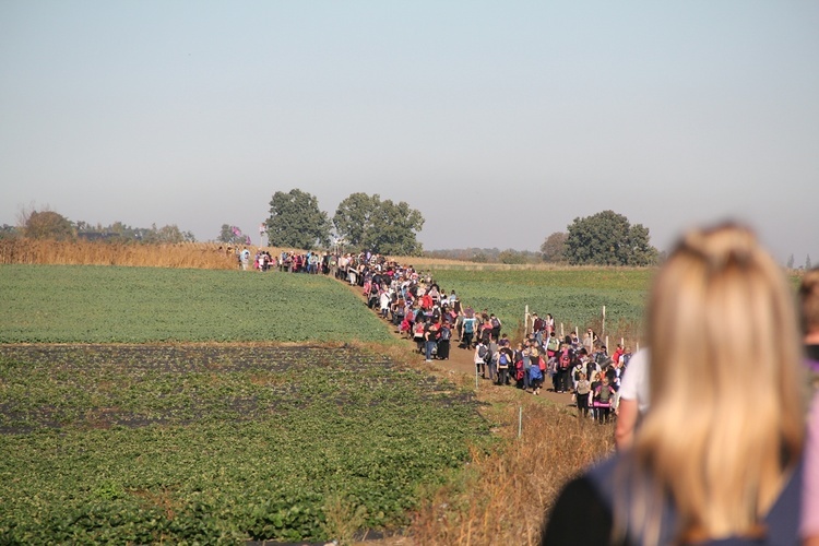 Pielgrzymka do Trzebnicy 2023 - cz. 4