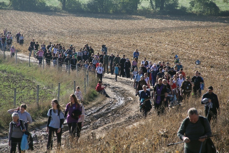 Pielgrzymka do Trzebnicy 2023 - cz. 4