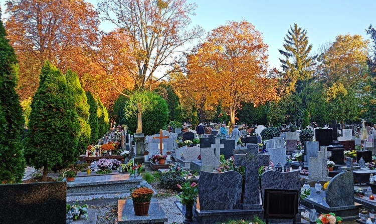 Ten cmentarz nazywają wrocławskimi Powązkami. Spoczywają tam wybitni