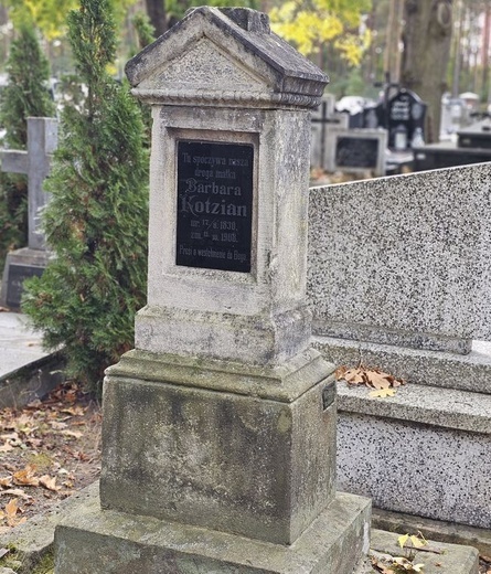 Rudnik nad Sanem. Rekordowa zbiórka