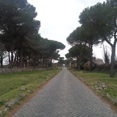 Rzym. Szkielet przy via Appia Antica