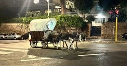 Rzym. Powóz z fałszywymi amiszami przybył z Francji