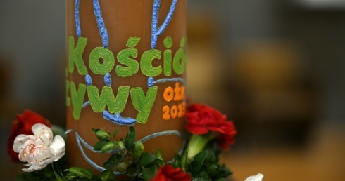 Czym jest żywy Kościół? Diecezjalna pielgrzymka Ruchu Światło-Życie
