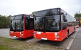 Na zakup ekologicznych autobusów miejskich samorząd wyda 11,4 mln złotych.