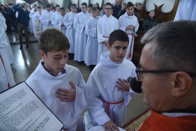 Lektorzy w bazylice św. Małgorzaty