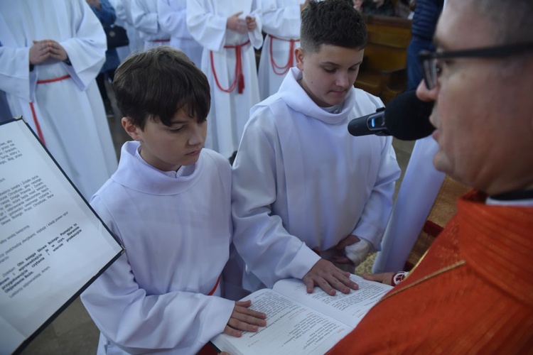 Lektorzy w bazylice św. Małgorzaty