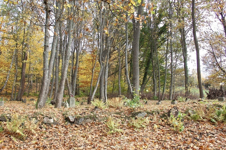 Zapomniane cmentarze wokół Koszalina