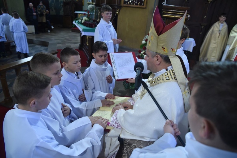 Lektorzy w Nawojowej