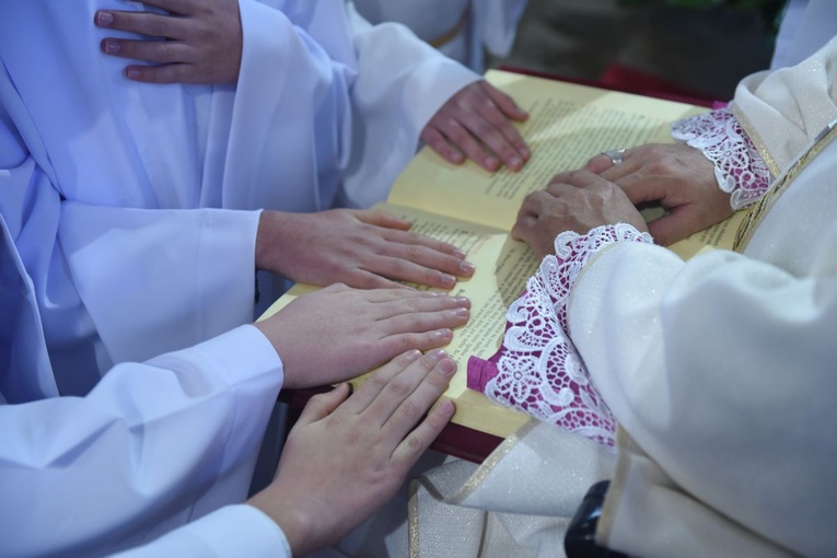 Lektorzy w Nawojowej