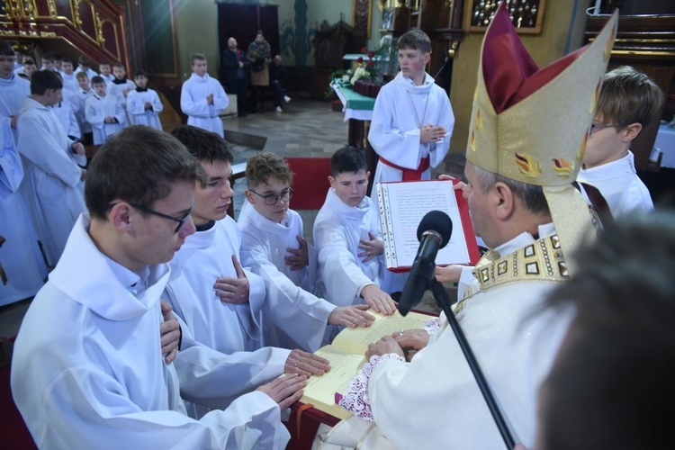 Lektorzy w Nawojowej