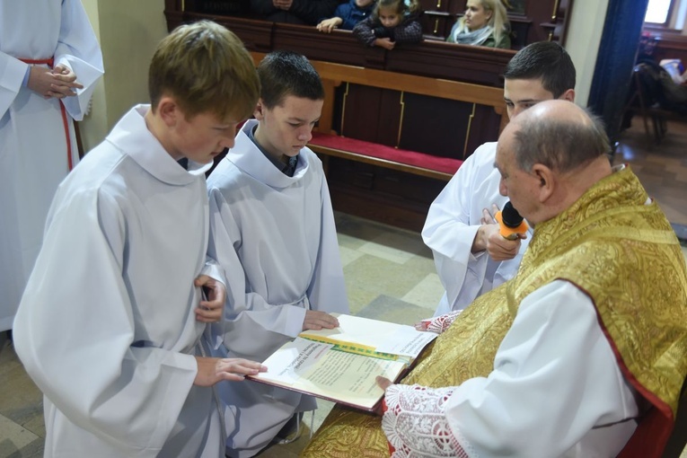 Lektorzy w Starym Sączu