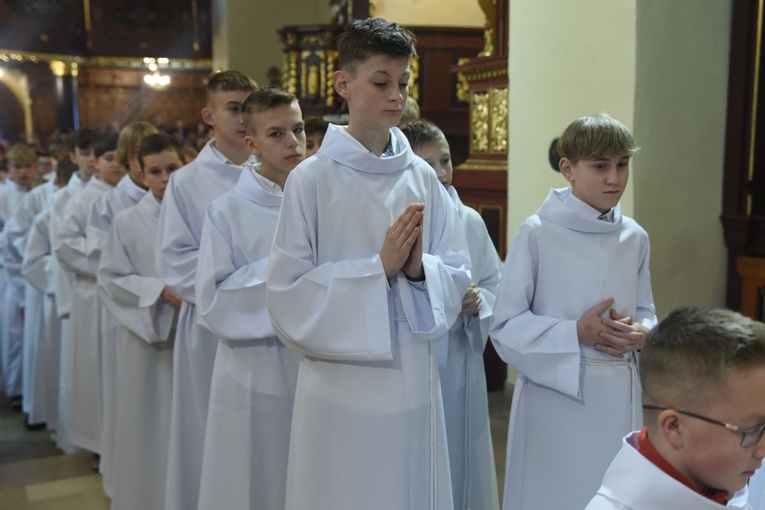 Lektorzy w Starym Sączu