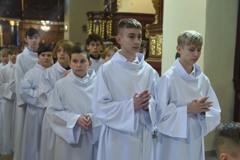 Lektorzy w Starym Sączu