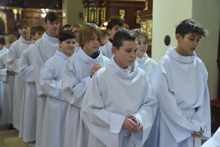 Lektorzy w Starym Sączu