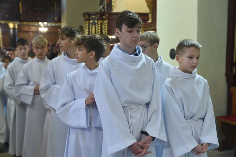 Lektorzy w Starym Sączu