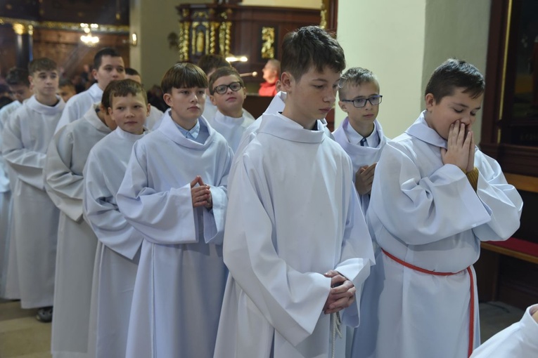 Lektorzy w Starym Sączu