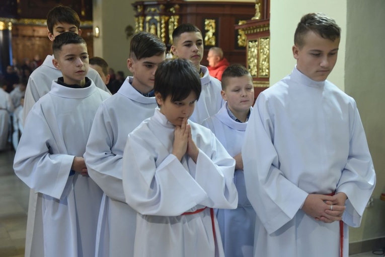 Lektorzy w Starym Sączu