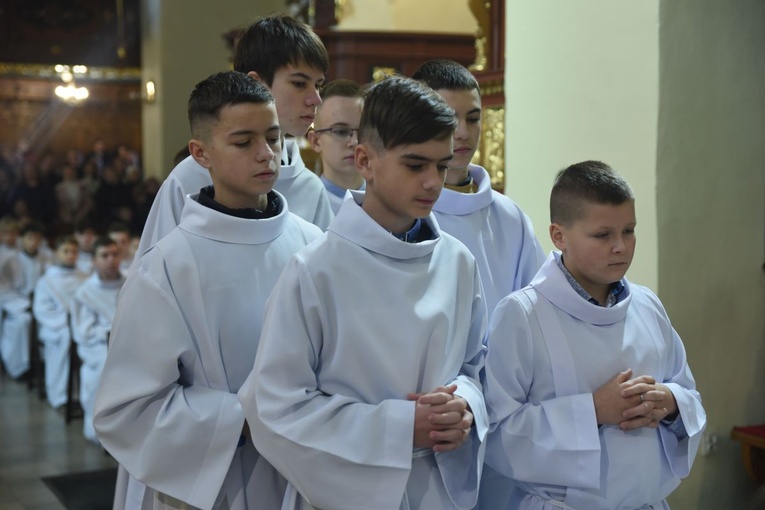 Lektorzy w Starym Sączu