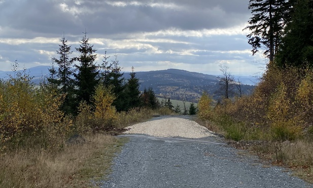 Idziesz właściwą drogą? Zastanów się