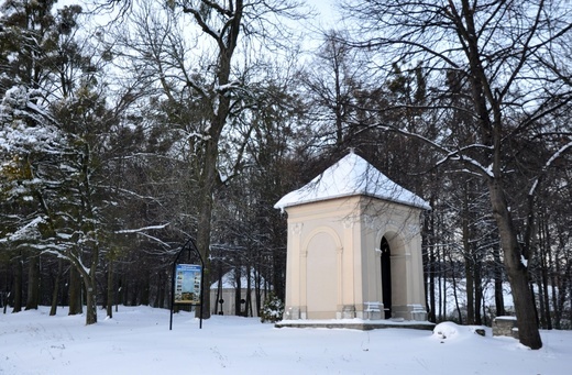 Jubileusz w zimowej scenerii