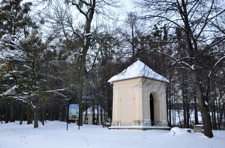 Jubileusz w zimowej scenerii