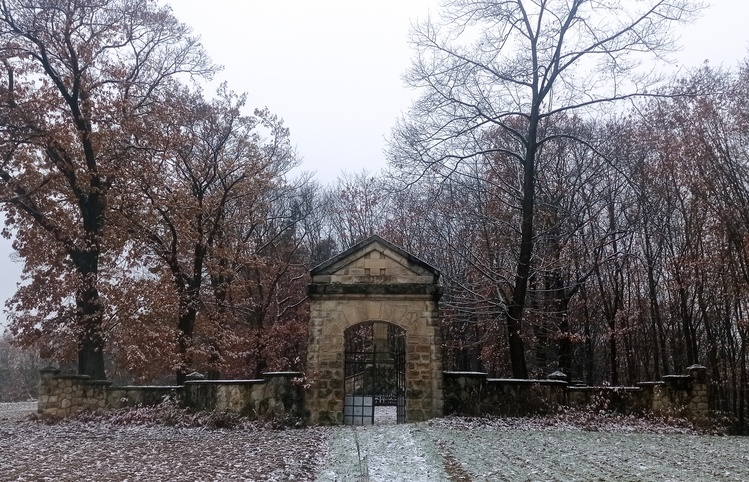 Strażnik lasów i pamięci