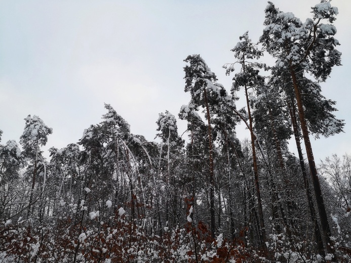 Ile waży śnieg?