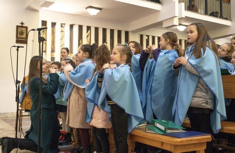 Limanowa Sowliny. Przyjęcie do DSM