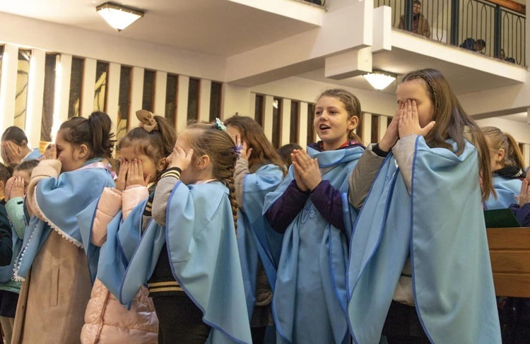 Limanowa Sowliny. Przyjęcie do DSM