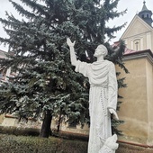 Figura św. Franciszka przed kościołem bernardynów w Tarnowie.