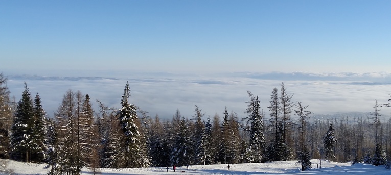 Tatrzańska Świątynia Lodowa 2023. Opactwo Westminster 