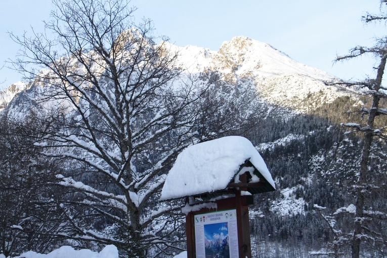 Tatrzańska Świątynia Lodowa 2023. Opactwo Westminster 