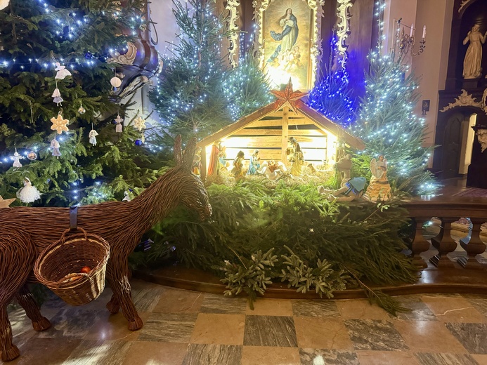 Płock. Szopka bożonarodzeniowa w parafii pw. św. Jana Chrzciciela