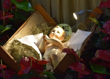 Żłóbek z Dzieciątkiem Jezus w kościele ojców bernardynów w Radomiu.