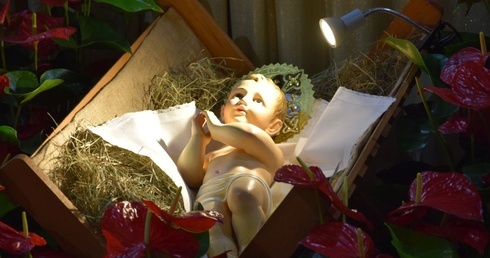 Żłóbek z Dzieciątkiem Jezus w kościele ojców bernardynów w Radomiu.