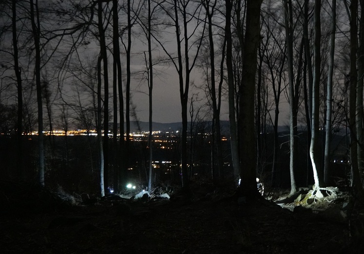 W Nowy Rok na Ślęży