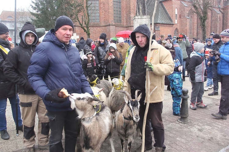 Orszak Trzech Króli w Koszalinie