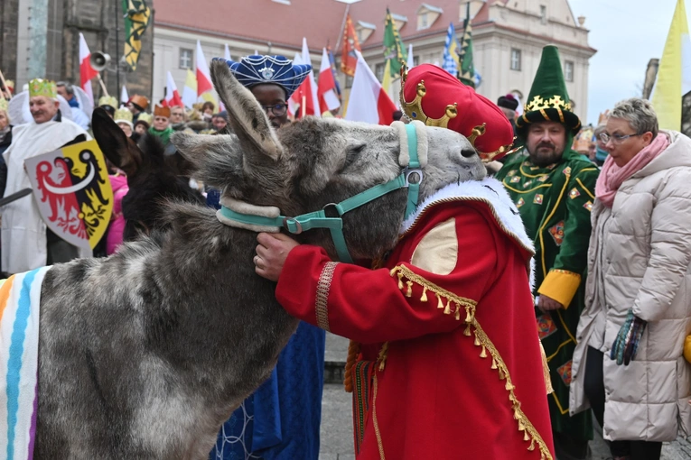Orszak Trzech Króli 2023 w Świdnicy. Tradycyjnie z osiołkami