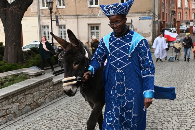 Orszak Trzech Króli 2023 w Świdnicy. Tradycyjnie z osiołkami