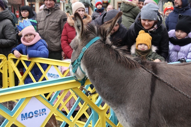 Orszak Trzech Króli w Tarnobrzegu